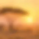 A blurry photo